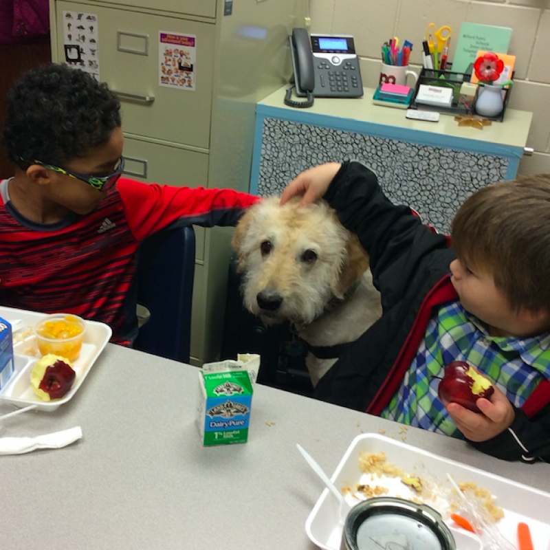 students eat with dog