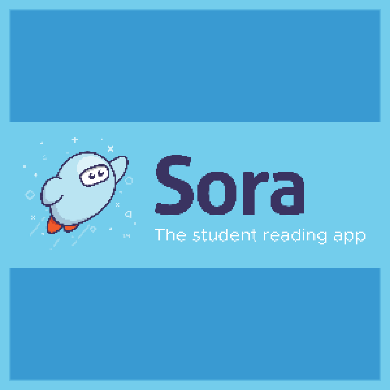 Sora Logo